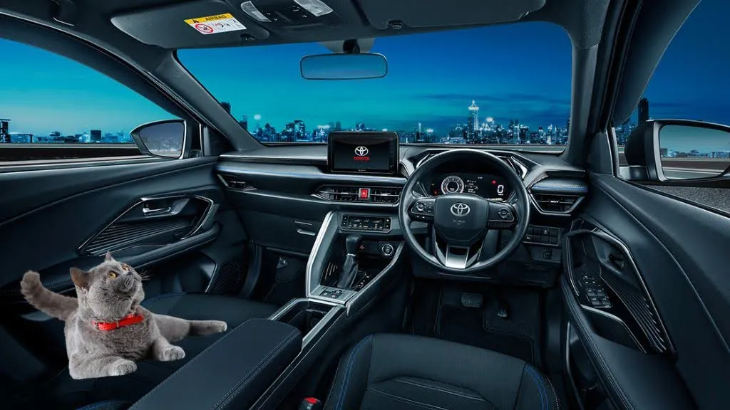 tips membawa kucing mudik.webp