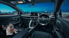 tips membawa kucing mudik.webp