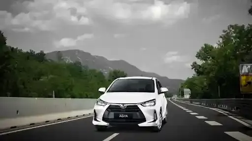 pantai pasir putih.webp