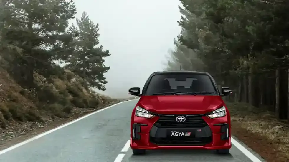 wisata kintamani.webp