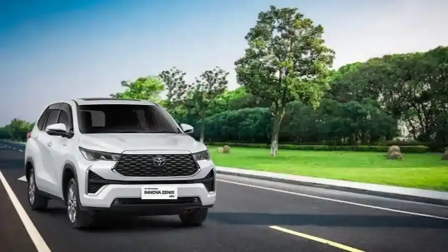 pemutihan pajak bogor.webp