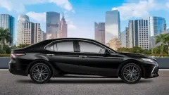 pemutihan pajak kendaraan pekanbaru.webp