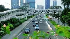 pemutihan pajak kendaraan bermotor.webp