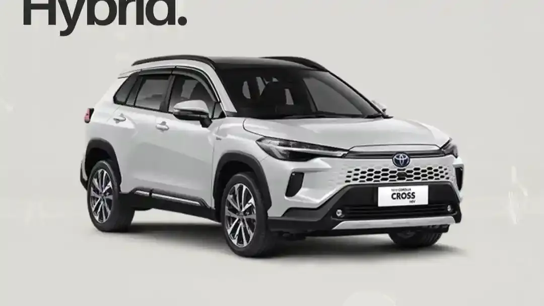 WhatsApp Image 20251104 at 16.24.15.webp