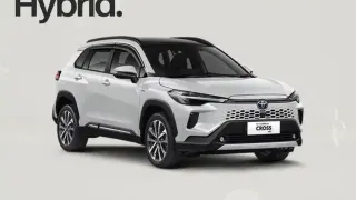 WhatsApp Image 20251104 at 16.24.15.webp