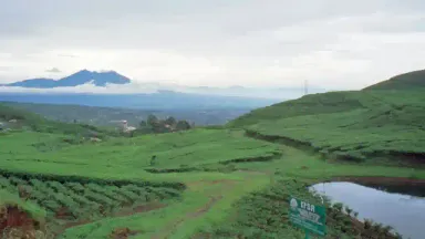 rest area puncak.webp