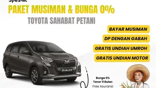 WhatsApp Image 20250410 at 08.16.22 2.webp