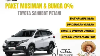 WhatsApp Image 20250410 at 08.16.20.webp