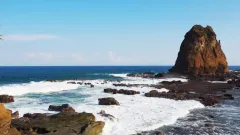 surabaya ke jember berapa jam.webp