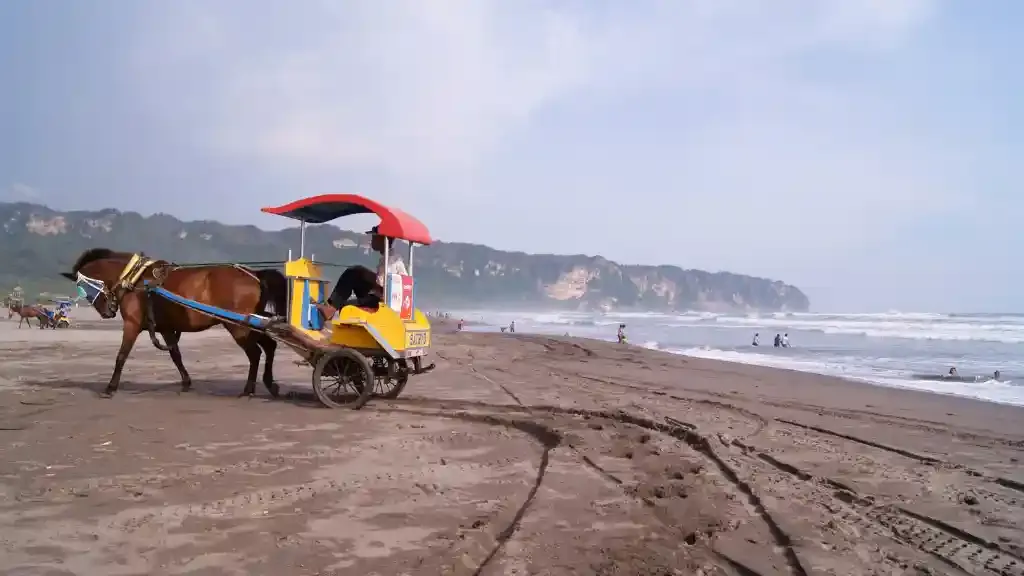 jls jalur lintas selatan bantul diy.webp