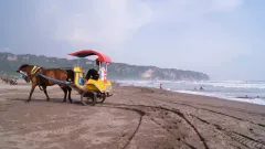 jls jalur lintas selatan bantul diy.webp