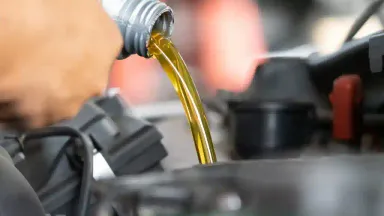 oli transmisi manual.webp