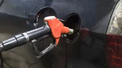 Perbedaan Pertamax dan Pertalite.webp