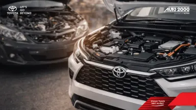 Banner Website Article 10.webp