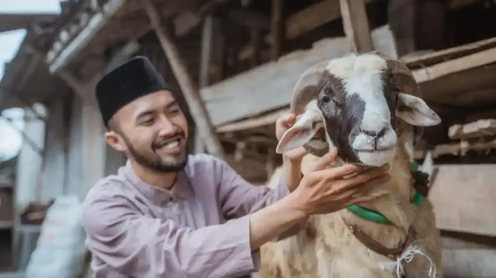 libur idul adha.webp