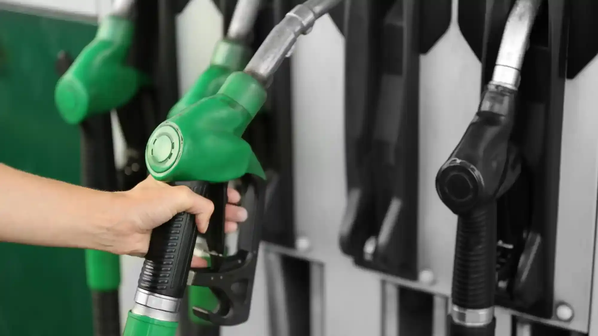 b50 untuk mobil apa.webp