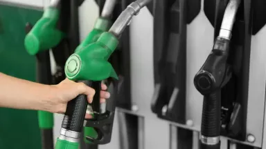 b50 untuk mobil apa.webp