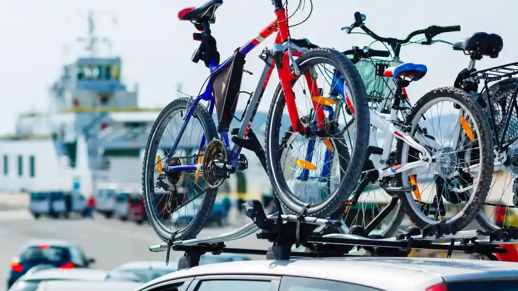 bike carrier.webp