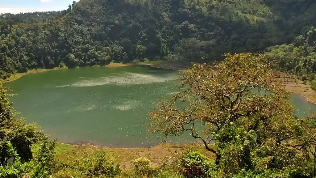 bebas pajak Jawa Timur.webp